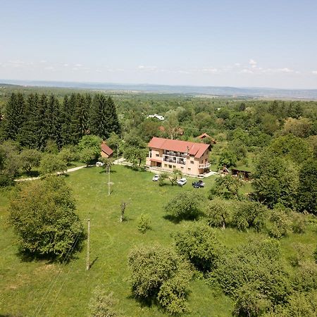 Pensiunea Elena Vistisoara Zewnętrze zdjęcie