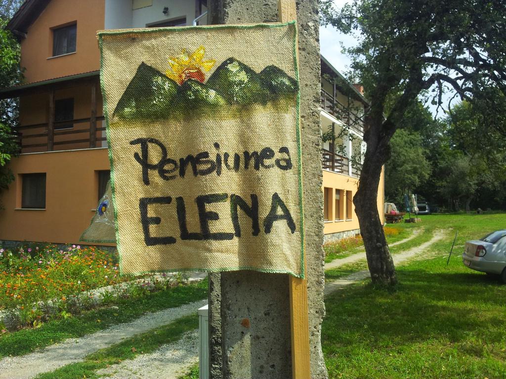Pensiunea Elena Vistisoara Pokój zdjęcie