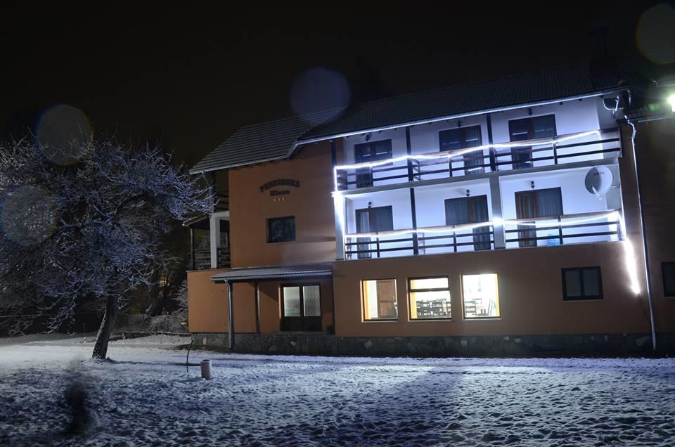 Pensiunea Elena Vistisoara Zewnętrze zdjęcie