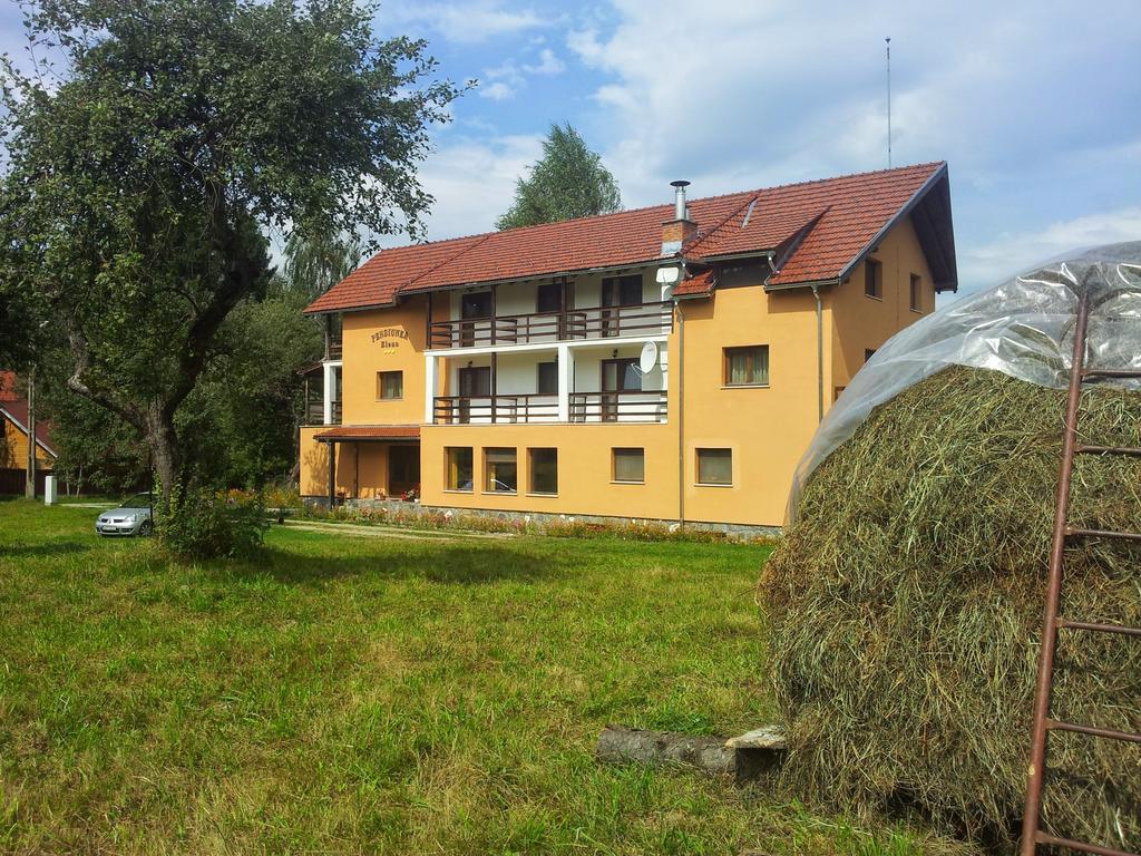 Pensiunea Elena Vistisoara Zewnętrze zdjęcie
